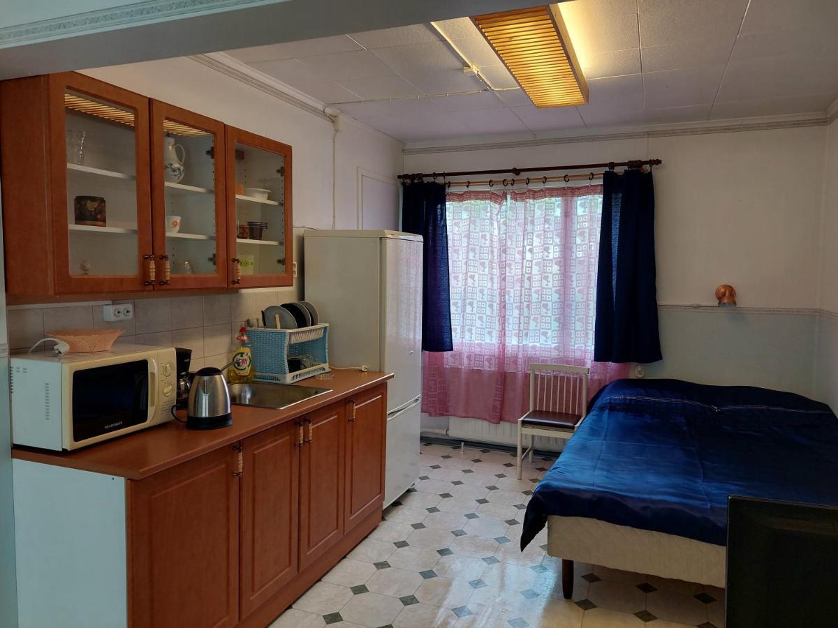 Lana Guest House Simpele エクステリア 写真